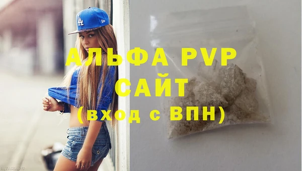 PSILOCYBIN Вяземский