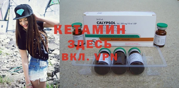 PSILOCYBIN Вяземский