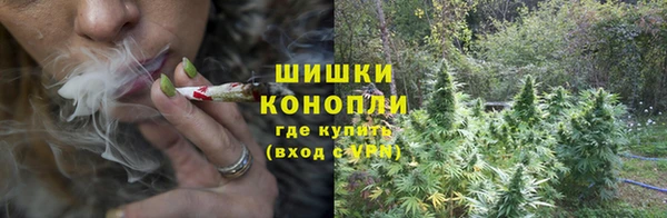 PSILOCYBIN Вяземский