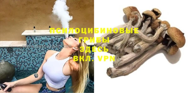 гидра Вязники