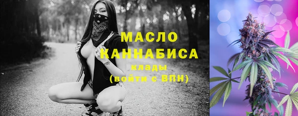 гидра Вязники