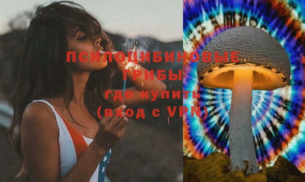 ALPHA-PVP Туринск