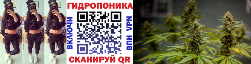 Шишки марихуана семена Новохопёрск